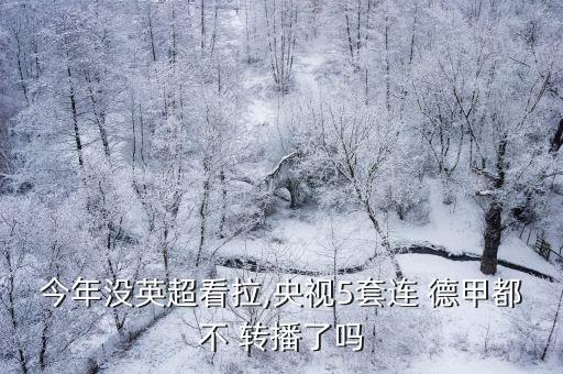 哪個(gè)播放器轉(zhuǎn)播德甲,咪咕看不懂德甲新賽季賽程已經(jīng)出爐