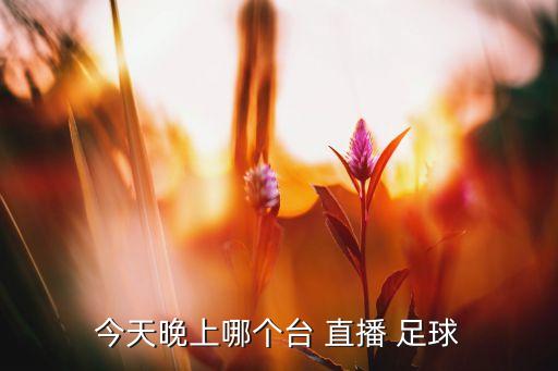 今天晚上哪個(gè)臺 直播 足球