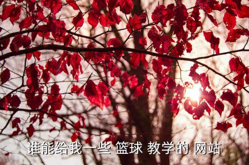 哪個網(wǎng)站籃球教學視頻,籃球技術知識點（一）