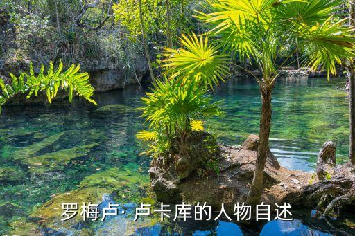 羅梅盧· 盧卡庫的人物自述
