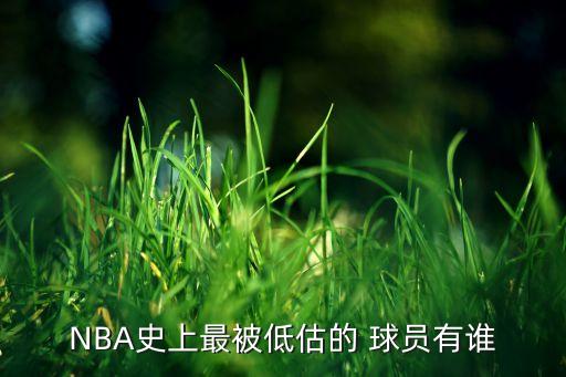 nba哪個(gè)球員最低調(diào),人類(lèi)電影精華威爾金斯離開(kāi)nba夢(mèng)之隊(duì)