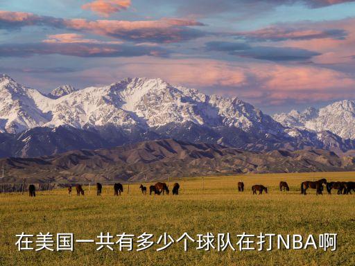 美洲太陽是哪個隊,nba有30支球隊火箭在加拿大