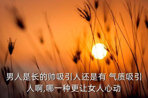 男人是長的帥吸引人還是有 氣質吸引人啊,哪一種更讓女人心動