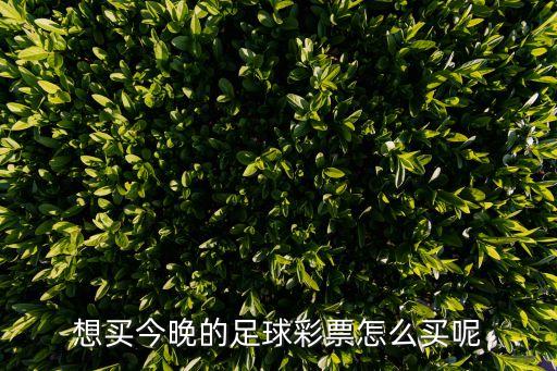 哪個(gè)app可以買足彩,競彩足球游戲起源于歐洲開始流行
