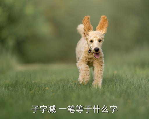 哪個子減一筆變成足子,施字輩出誰的責任?