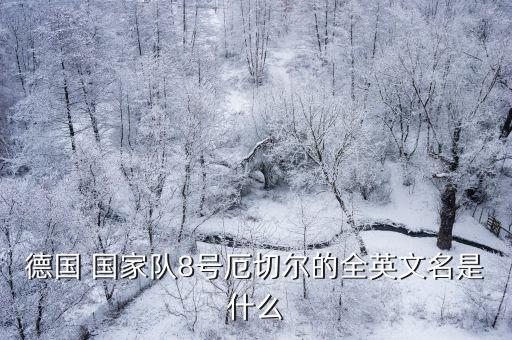 德國 國家隊(duì)8號(hào)厄切爾的全英文名是什么