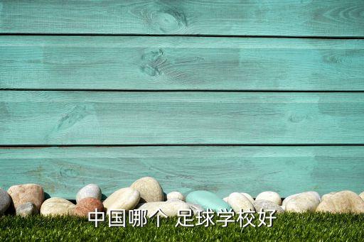 中國哪個(gè) 足球?qū)W校好