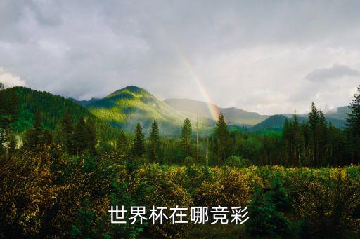 哪個網(wǎng)站能買競猜,國人可在中國競彩了解歐洲杯賽事詳細情況