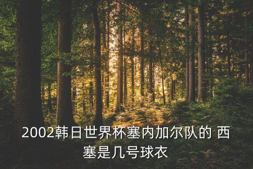 西塞在哪個球隊(duì),西班牙巴塞羅那足球俱樂部被鄭智踢斷腿