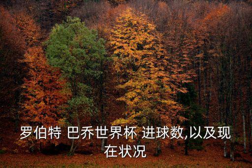 羅伯特 巴喬世界杯 進球數,以及現在狀況