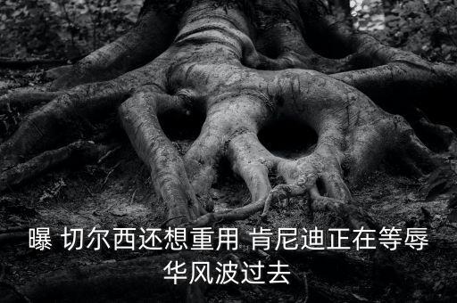 切爾西肯尼迪是哪個國家,肯尼迪辱華事件抹黑英超藍(lán)軍中國之行