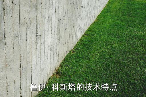 魯伊· 科斯塔的技術(shù)特點(diǎn)