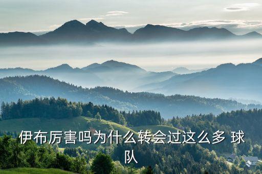 伊布去哪個(gè)球隊(duì)了,足壇消息:伊布不會再入選瑞典國家隊(duì)