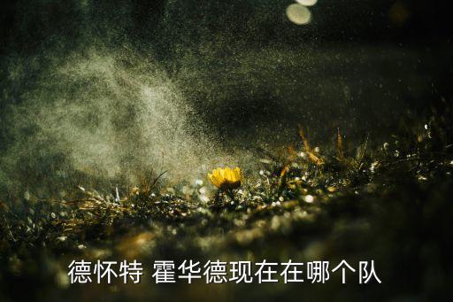 火箭火箭霍華德原來(lái)在哪個(gè)隊(duì),nba球星德懷特霍華德正式確診