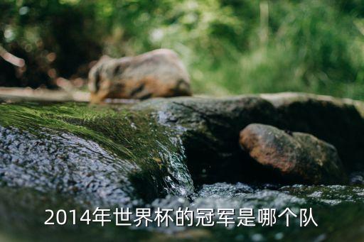 赫韋德斯在哪個(gè)隊(duì),德國(guó)u21國(guó)青賽:門將、諾伊爾、奇佩爾