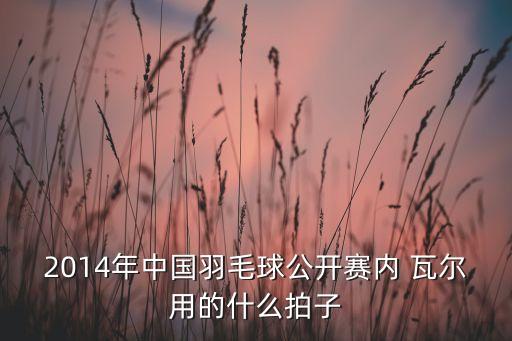 2014年中國(guó)羽毛球公開賽內(nèi) 瓦爾用的什么拍子