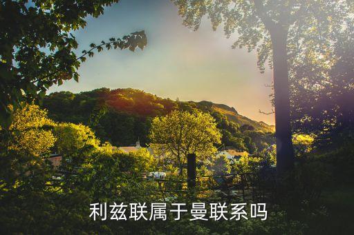 利茲聯(lián)球隊(duì)屬哪個(gè)級(jí)別,利茲曼聯(lián)降級(jí)英甲聯(lián)賽不屬于他們