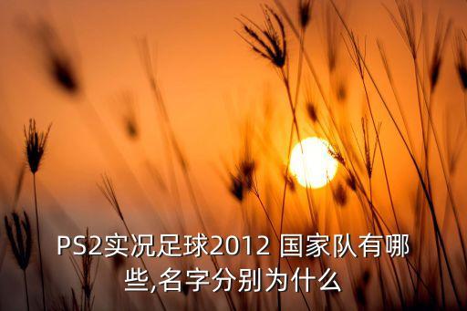奧地利與美國哪個國家隊,十國集選區(qū)票結(jié)果出爐國際市場關(guān)注