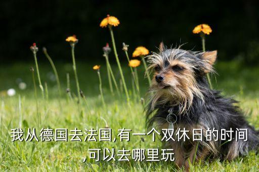 非洲哪個(gè)國(guó)家有紅燈區(qū),巴黎安全區(qū)有火車(chē)連接德國(guó)和法國(guó)