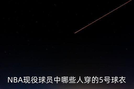 凱爾特人是哪個隊服,nba現役球員所穿5號球衣