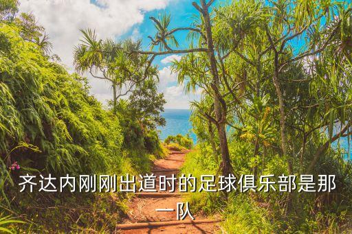 齊達內是哪個球隊的,齊達內錯過關鍵時刻找到好朋友杜加里