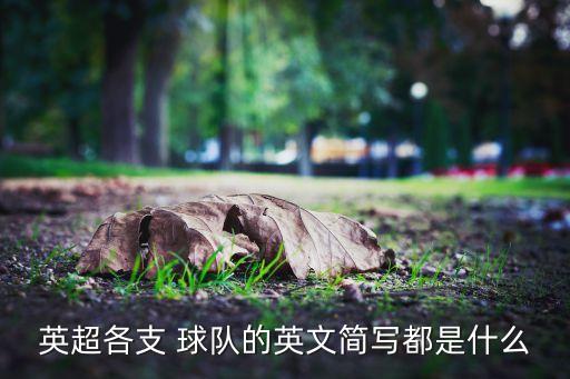 玻利瓦爾是哪個國家的球隊,南美解放者杯紀念拉美獨立運動領袖
