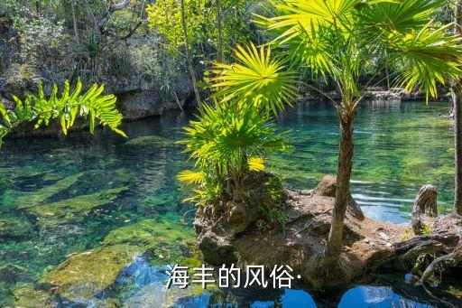 海豐的龍舟賽哪個(gè)臺(tái)直播？,端午與粽子、賽艇龍舟的故事
