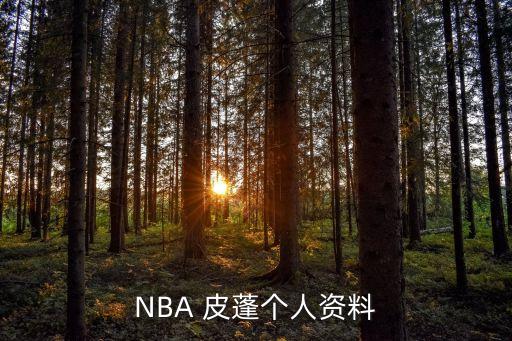 97希爾和96皮蓬哪個(gè)好,美國(guó)籃球夢(mèng)之隊(duì)皮蓬?yuàn)Z得六冠王戒指