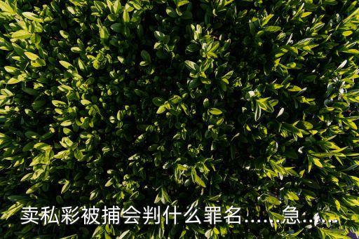 哪個網(wǎng)站有重慶時時彩,識別網(wǎng)絡詐騙首先要有謹慎理性頭腦