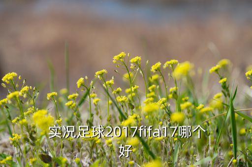 實況17哪個補(bǔ)丁好,我國足球聯(lián)賽新賽季開賽我國男隊奪冠