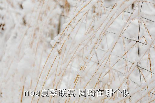 nba夏季聯(lián)賽 周琦在哪個(gè)隊(duì)