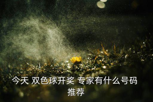 今天 雙色球開獎 專家有什么號碼 推薦