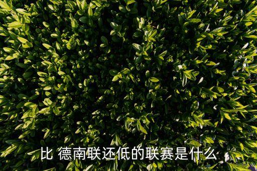 德南聯(lián)是哪個(gè)國家的,南北聯(lián)賽區(qū)分五個(gè)聯(lián)賽名單出爐