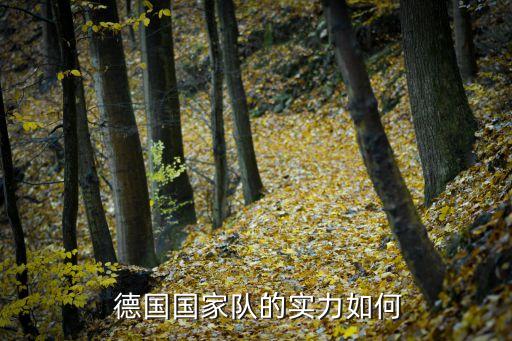  德國國家隊的實力如何