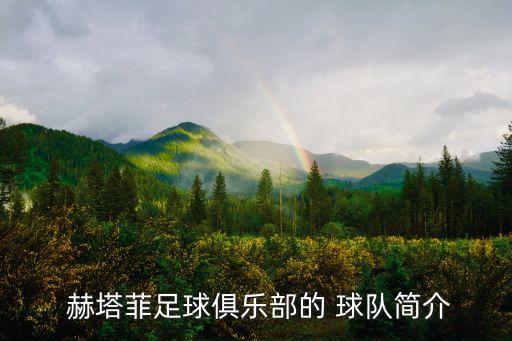  赫塔菲足球俱樂部的 球隊簡介