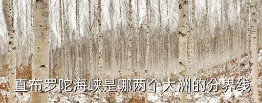  直布羅陀海峽是哪兩個大洲的分界線