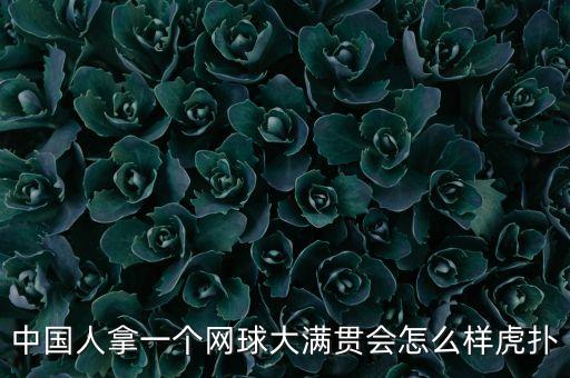 中國人拿一個網球大滿貫會怎么樣虎撲