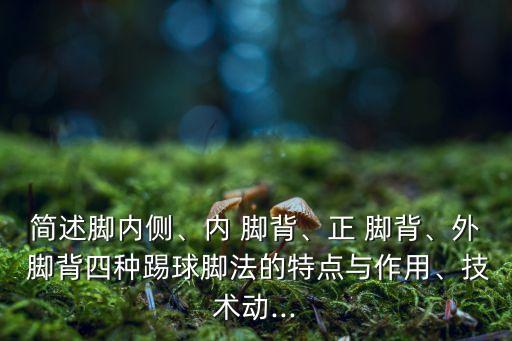 簡述腳內(nèi)側(cè)、內(nèi) 腳背、正 腳背、外 腳背四種踢球腳法的特點與作用、技術(shù)動...