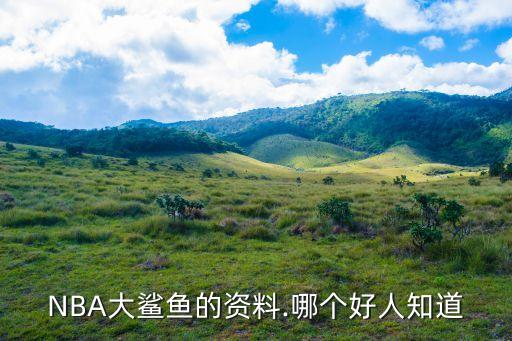 奧尼爾高中在哪個州,我以為自己是個軍人奧尼爾永遠(yuǎn)機(jī)智風(fēng)趣