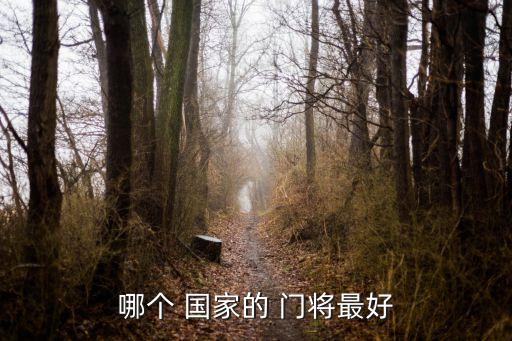 哪個(gè) 國(guó)家的 門(mén)將最好