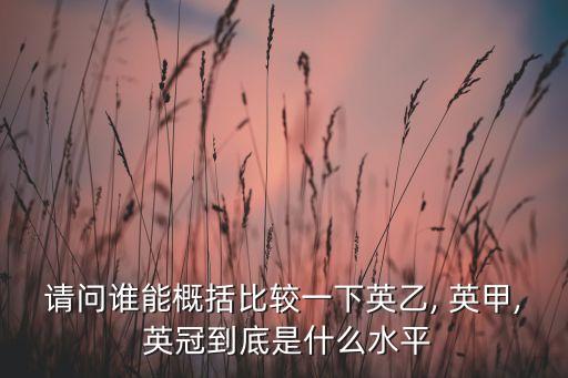 英冠英甲哪個級別高,英超是英格蘭職業(yè)足球第二聯(lián)賽