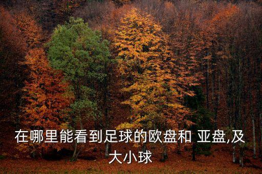亞盤看哪個公司,足壇消息:歐賠支持平手亞盤高峰下注將是強(qiáng)平