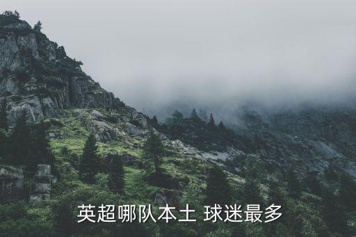  英超哪隊(duì)本土 球迷最多