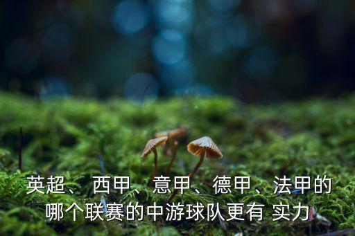  英超、 西甲、意甲、德甲、法甲的哪個聯(lián)賽的中游球隊更有 實力