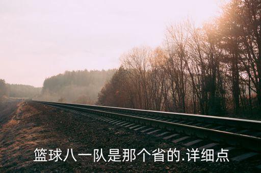  籃球八一隊是那個省的.詳細點