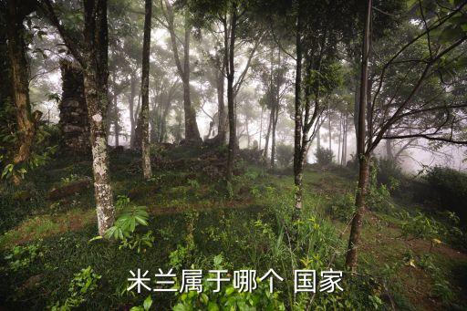米蘭是哪個(gè)國(guó)家,意大利最大都市經(jīng)濟(jì)首都羅巴第首府米蘭省會(huì)