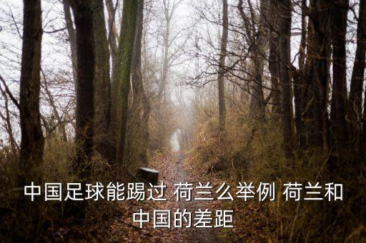 中國(guó)足球能踢過(guò) 荷蘭么舉例 荷蘭和中國(guó)的差距