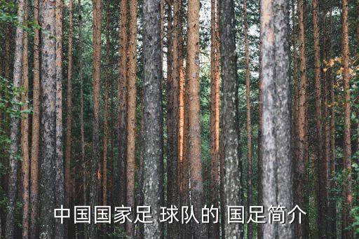 中國國家足 球隊(duì)的 國足簡(jiǎn)介