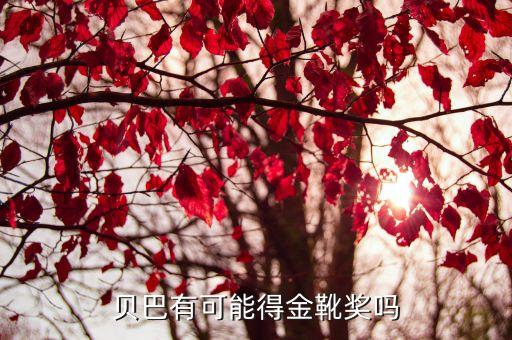 貝巴是哪個(gè)俱樂部,我國足球男隊(duì)再添一支新隊(duì)伍