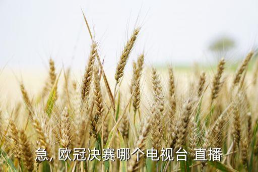 急, 歐冠決賽哪個(gè)電視臺(tái) 直播